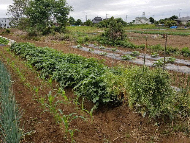 20190603_071009-2160x1620