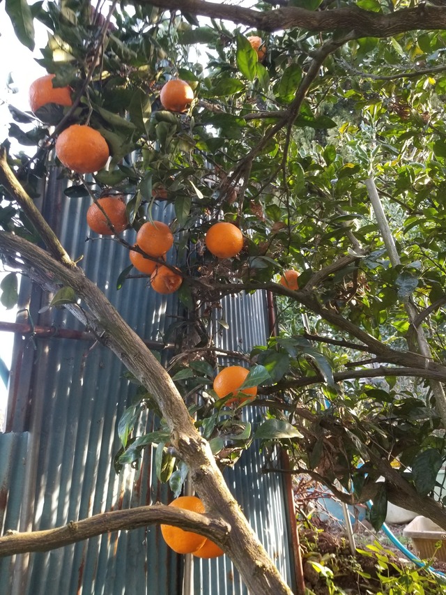 20231218_150033_copy_1512x2016