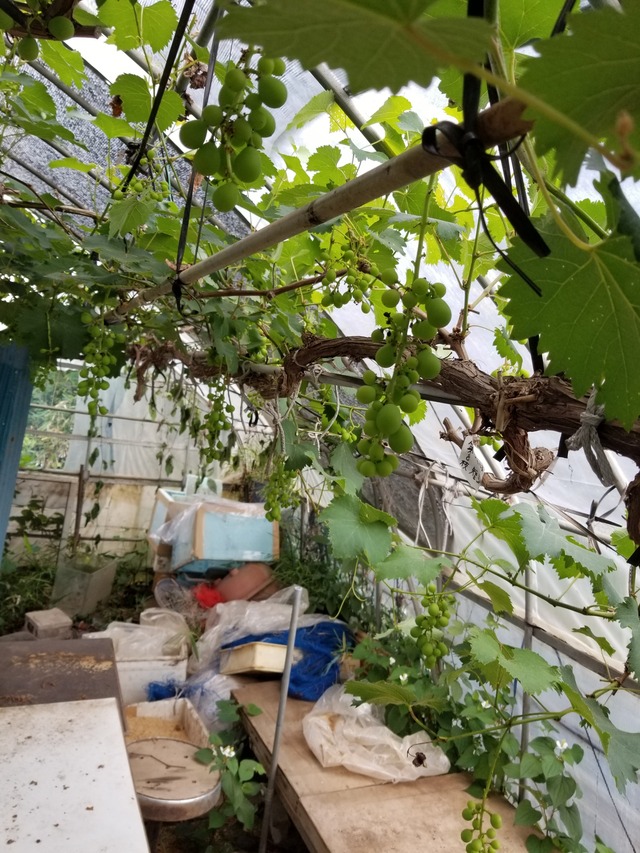 20210601_083140_copy_2268x3024