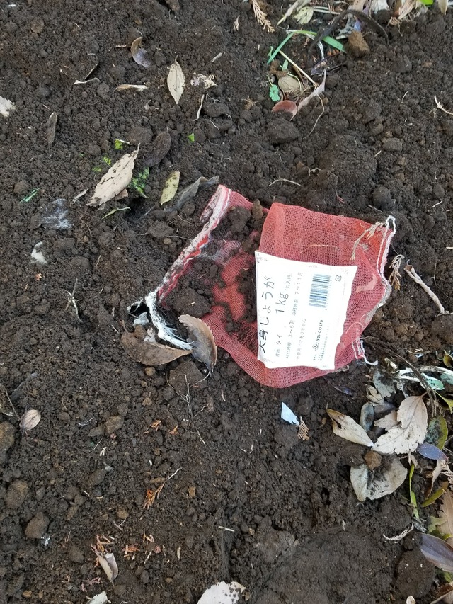 20211218_141722_copy_2268x3024