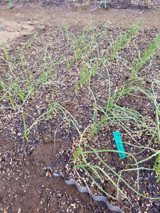 20221028_101756_copy_1512x2016