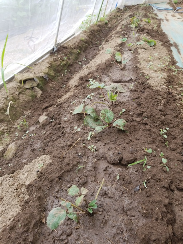 IMG_20230916_101352_copy_1512x2016