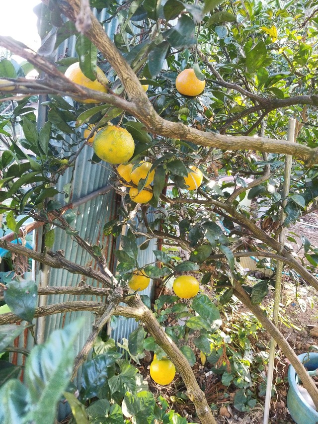 IMG_20231108_140934_DRO_copy_1512x2016