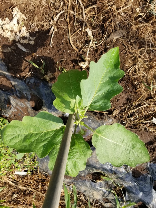 20220630_080353_copy_1512x2016