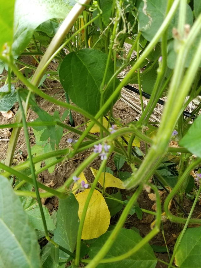 20200831_091442_copy_2268x3024