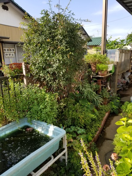 20190829_071459-1620x2160