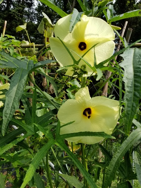 20190729_091400-1620x2160