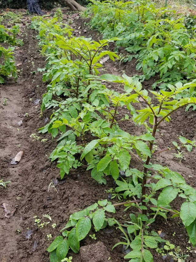 20201019_082935_copy_2268x3024