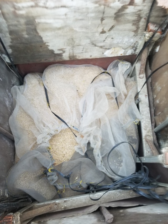 20240112_100827_copy_1512x2016