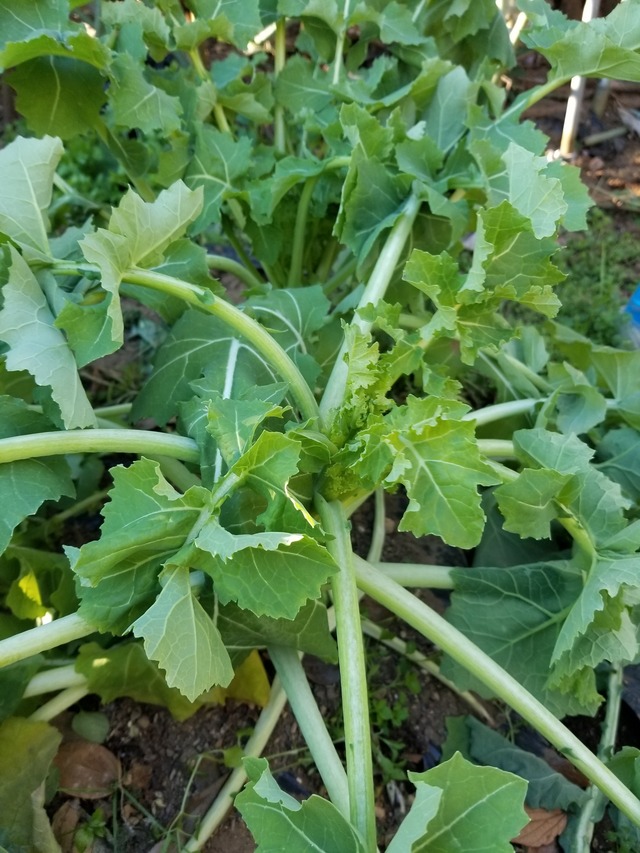 20230104_084503_copy_2268x3024