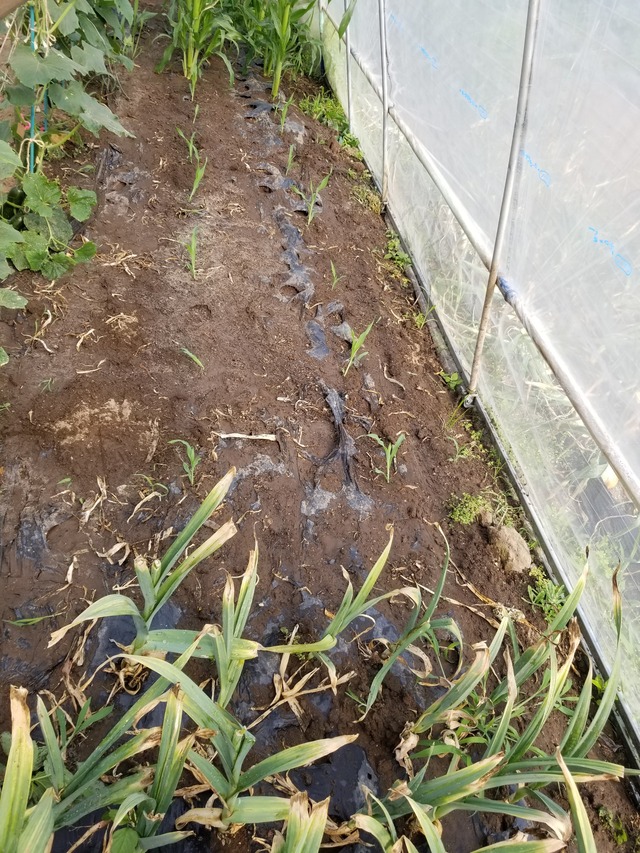 20230522_150847_copy_2268x3024