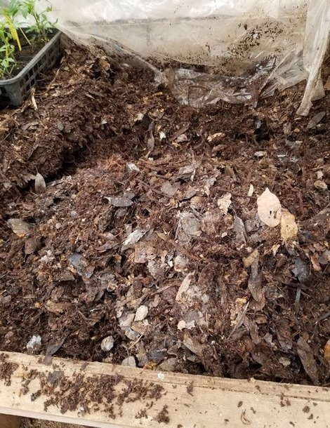 20190330_090919-1024x1365