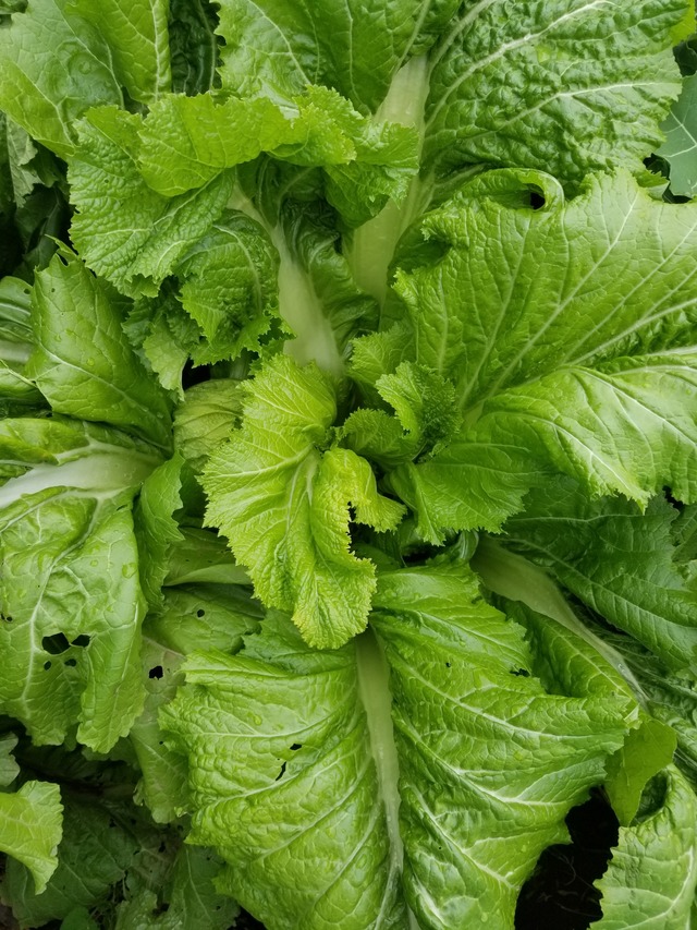 20231215_111133_copy_1512x2016