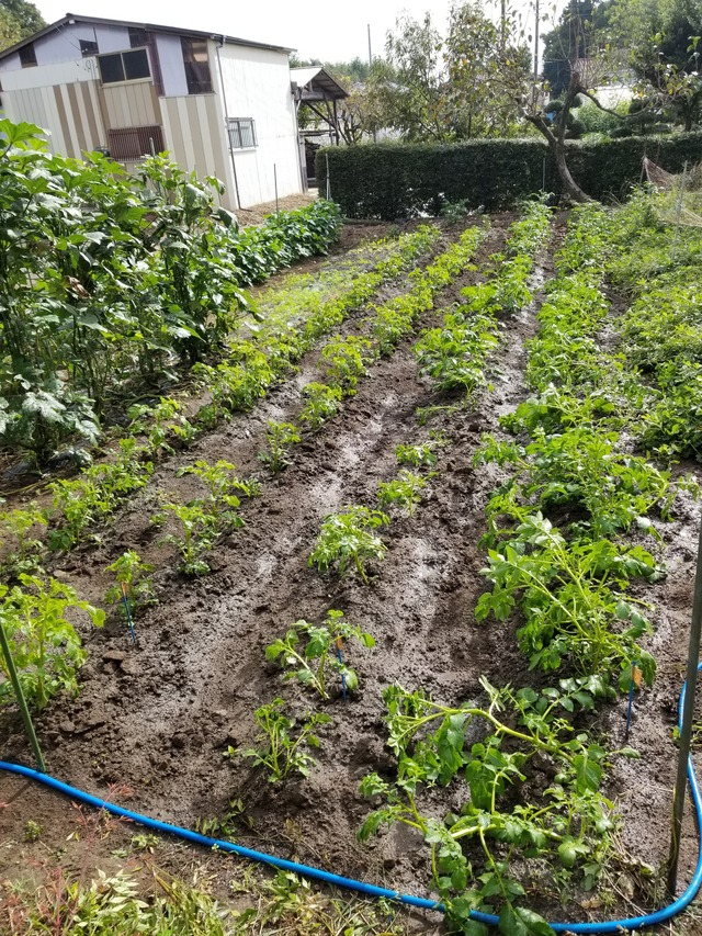 20210928_084226_copy_2268x3024_1