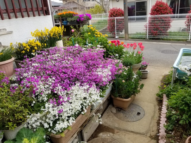 20190414_120353-3024x2268