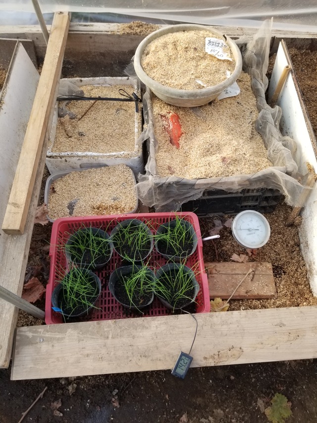 20231221_080523_copy_1512x2016