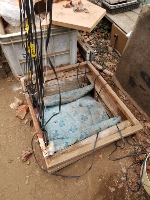 20231211_074420_copy_1512x2016_1