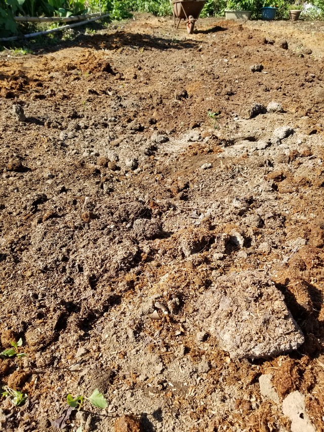 20210910_142514_copy_2268x3024