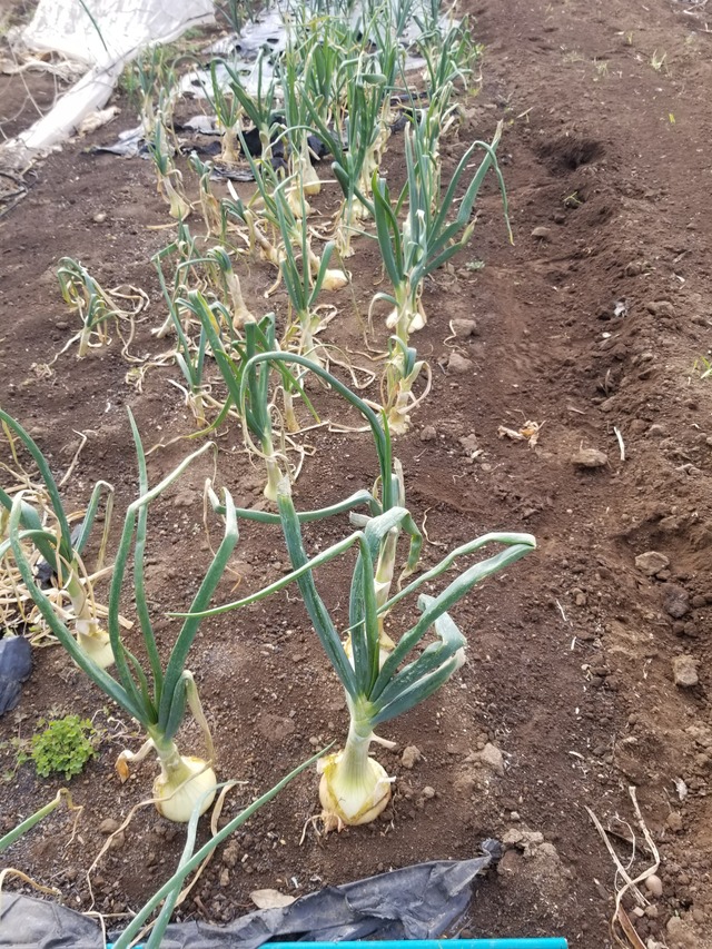 20240220_091635_copy_2268x3024