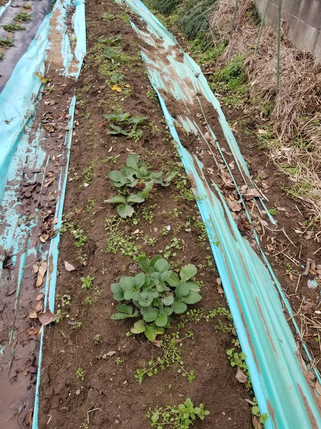 20231219_092954_copy_1512x2016