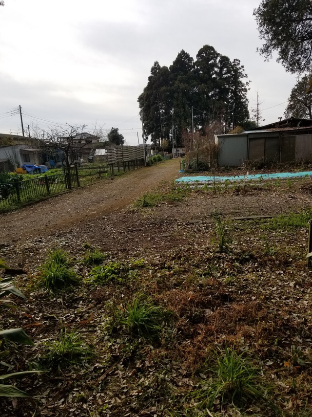 20240103_101119_copy_1512x2016