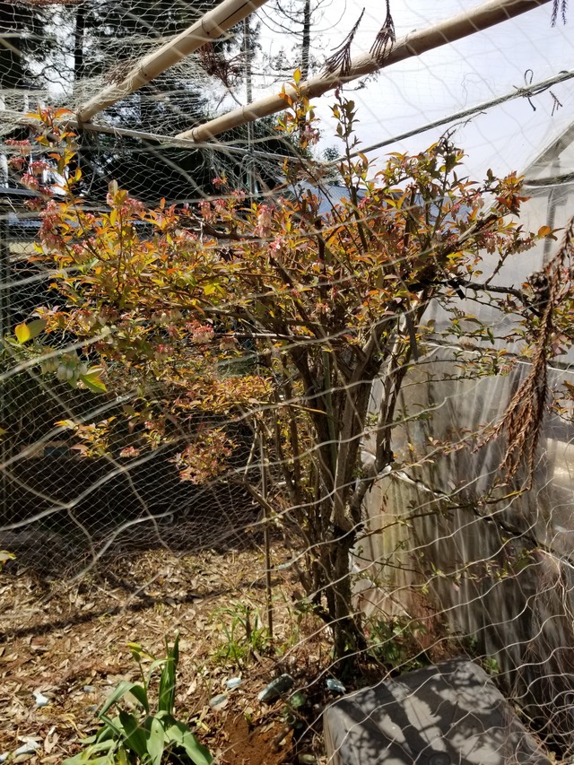 20240413_111139_copy_2268x3024