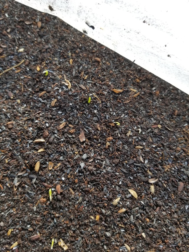 20210915_075856_copy_2268x3024