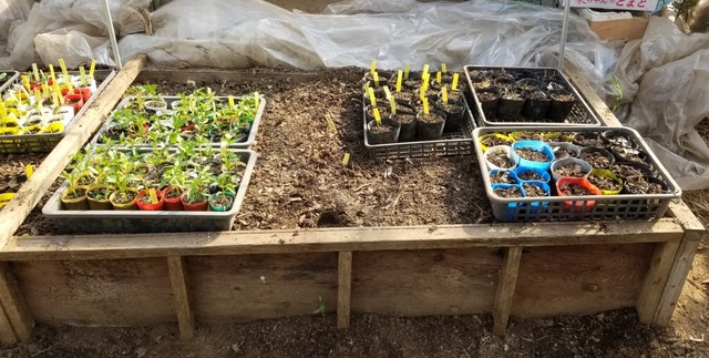 20190413_145828-1600x1200