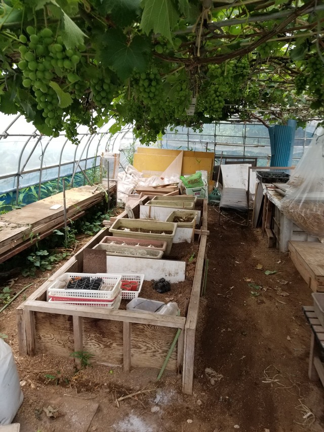 20230615_075934_copy_1512x2016