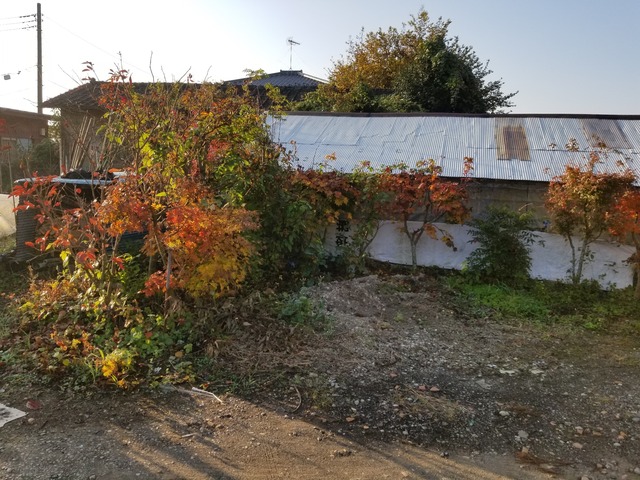 20201117_073351_copy_2268x1701