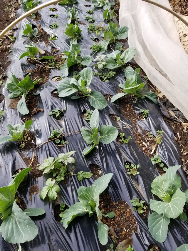 20240122_135820_copy_1512x2016