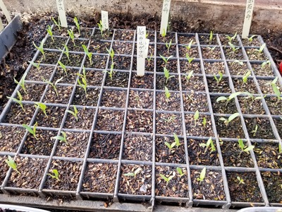 20200220_082603-3024x2268