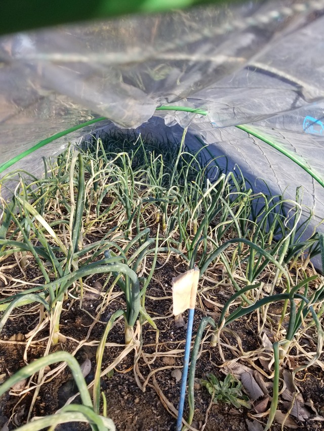 20230110_083526_copy_1512x2016