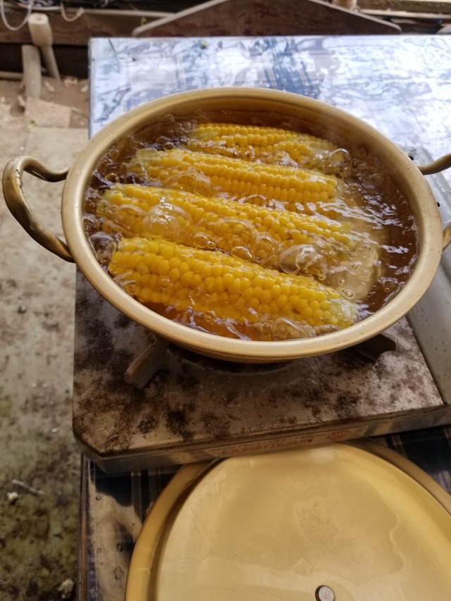 20230530_093654_copy_1512x2016