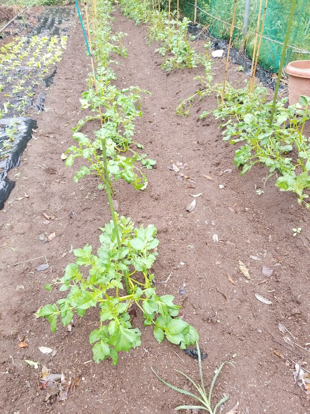 IMG_20231009_093429_copy_1512x2016