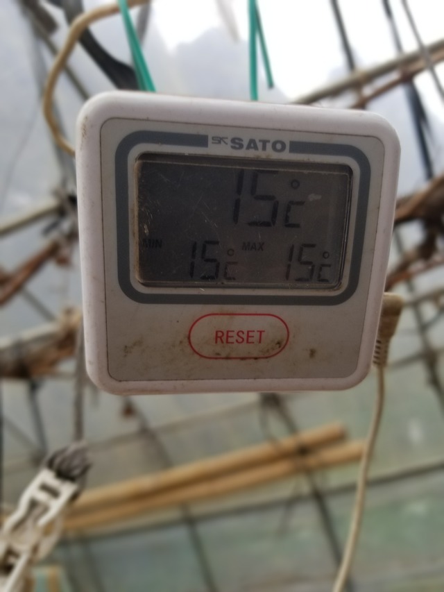 20231228_101700_copy_1512x2016