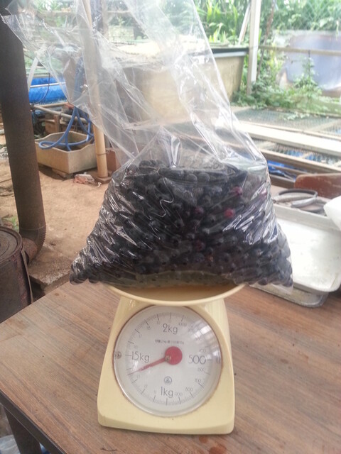 1,35kg