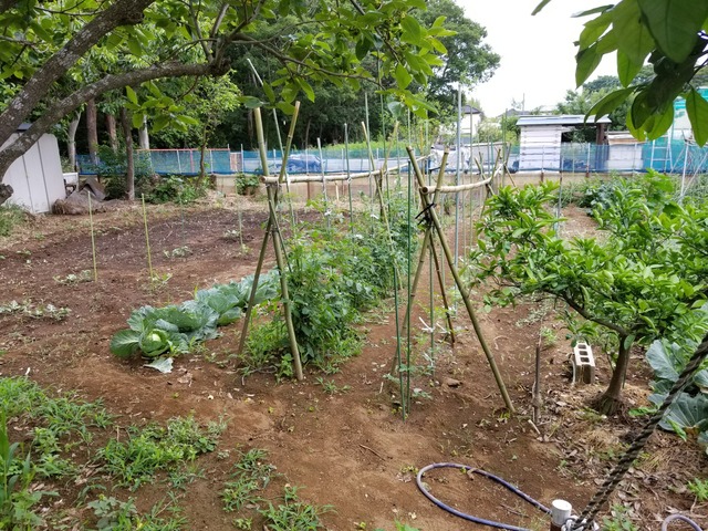 20190603_071429-2160x1620