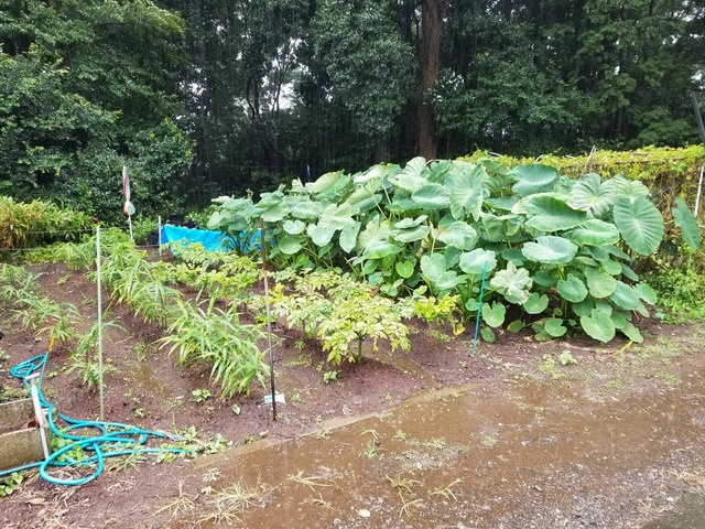 20210918_072605_copy_3024x2268