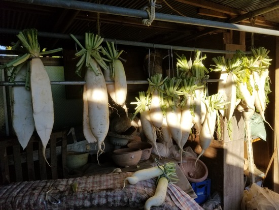 20191204_080823-2160x1620