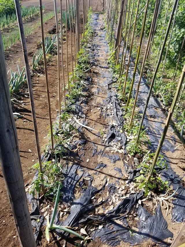 20230510_082514_copy_1512x2016