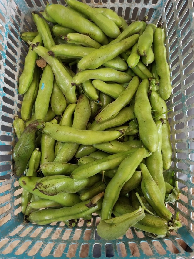 20230430_095156_copy_1512x2016