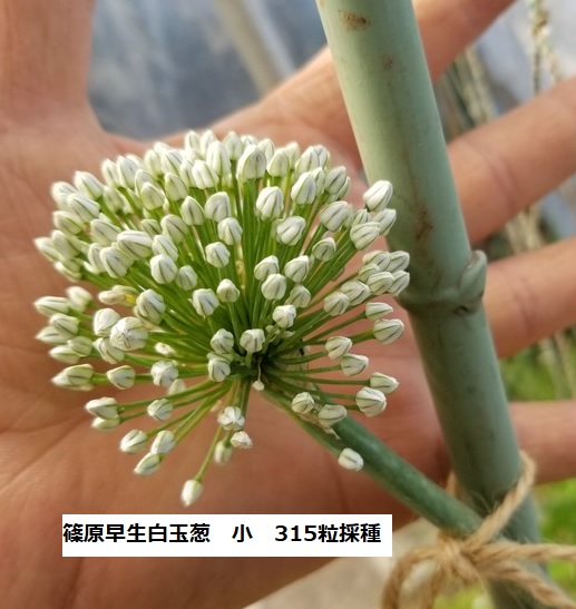 １