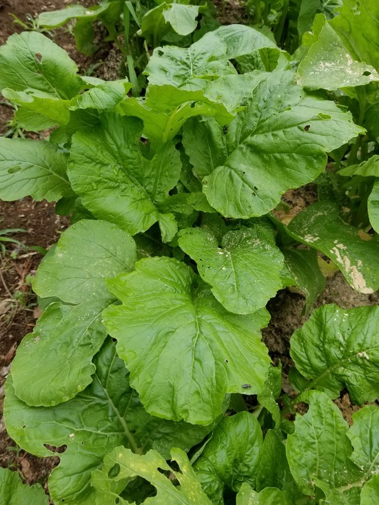 20191007_083031-1620x2160