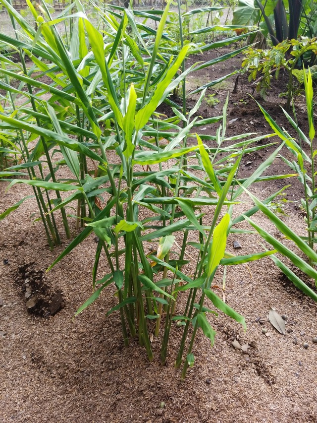 IMG_20230911_102851_copy_1512x2016