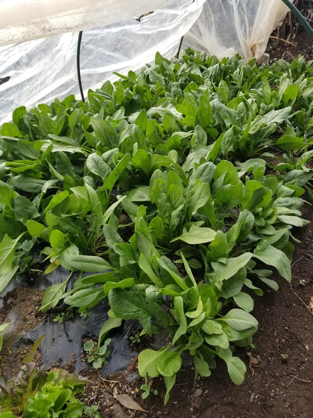 20240122_135945_copy_1512x2016