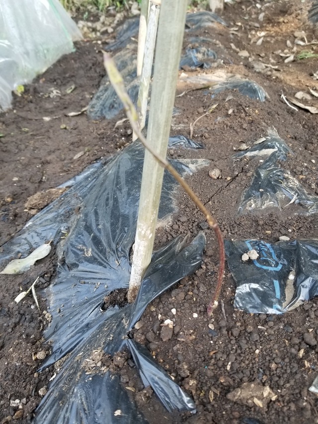 20230510_084753_copy_1512x2016