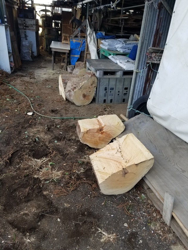 20230125_150326_copy_1512x2016