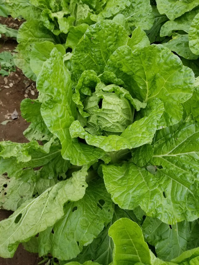 20211031_093510_copy_2268x3024