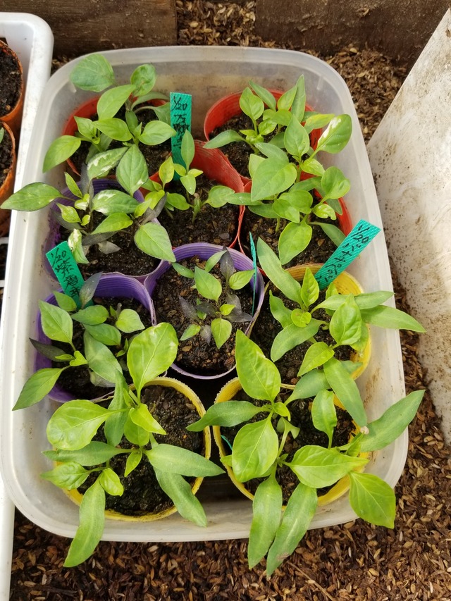 20230331_090743_copy_1512x2016